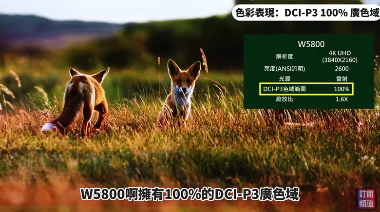 【分享】BenQ 重磅回歸！W5800 導演級色準雷射投影機開箱評測｜實測蓆白幕與菲涅爾抗光幕畫質差異