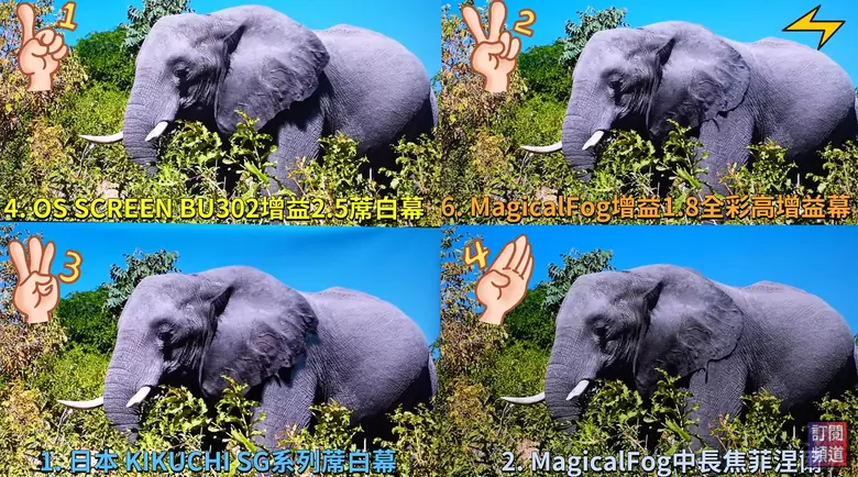 【分享】七款布幕開箱評測｜從蓆白幕到抗光幕，哪一款才是你的命定之選？