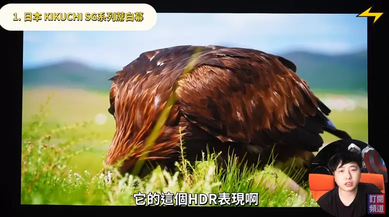 【分享】七款布幕開箱評測｜從蓆白幕到抗光幕，哪一款才是你的命定之選？