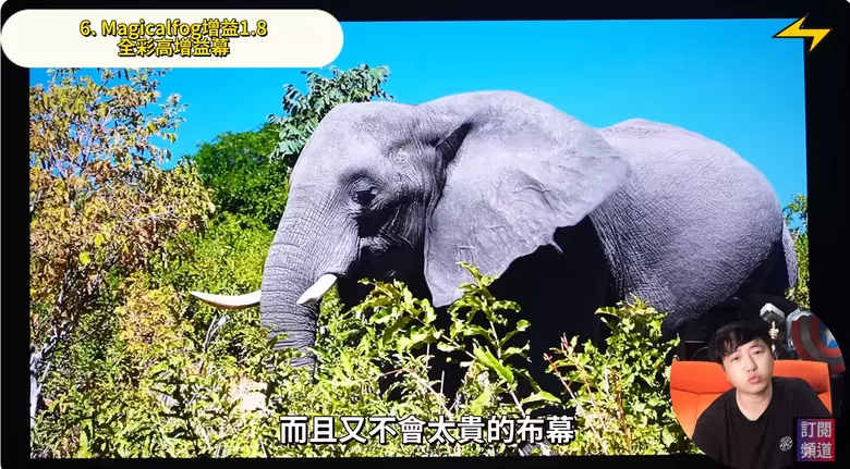 【分享】七款布幕開箱評測｜從蓆白幕到抗光幕，哪一款才是你的命定之選？