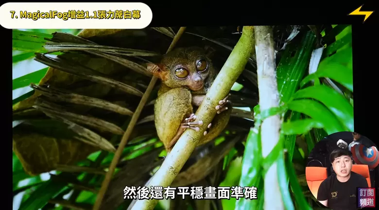 【分享】七款布幕開箱評測｜從蓆白幕到抗光幕，哪一款才是你的命定之選？