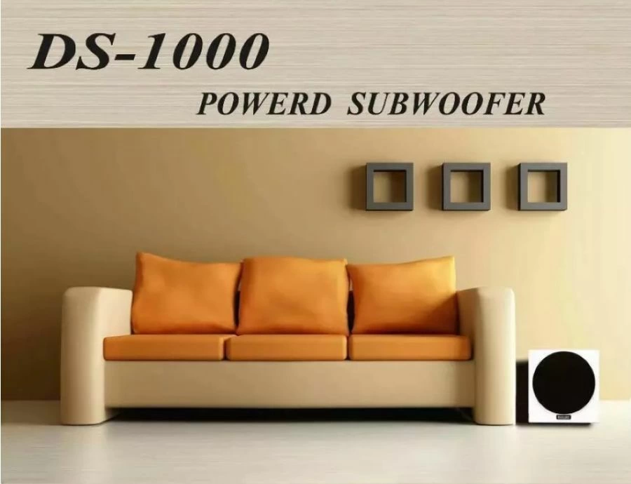 Deco Art DS-1000 鋼烤10吋重低音喇叭