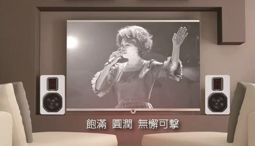 高CP值家庭KTV 卡拉ok歡唱 ibass歡唱喇叭/對